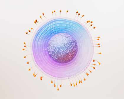 Vaccine Shingles GSK