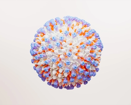 RSV Virus Cell