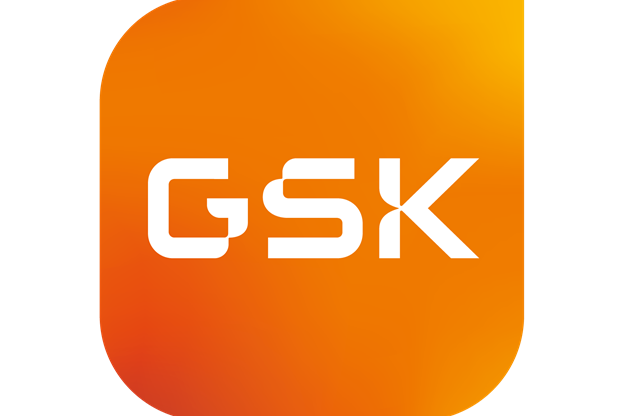 GSK Full Colour Icon