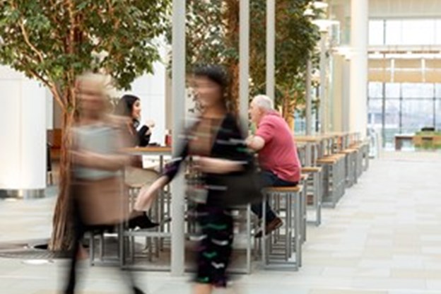 Disability Confidence A Workplace For All