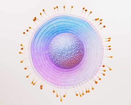 GSK Vaccine Shingles