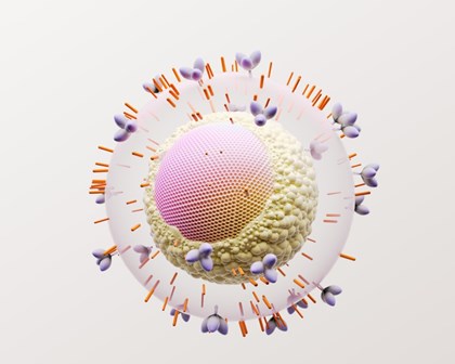 HIV Octane Cell