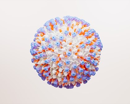 RSV Virus Cell