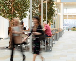 Disability Confidence A Workplace For All