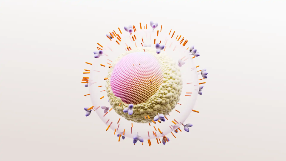 HIv virus