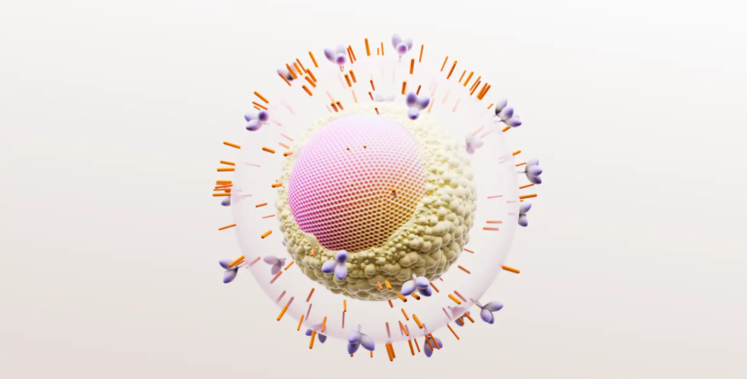 HIv virus
