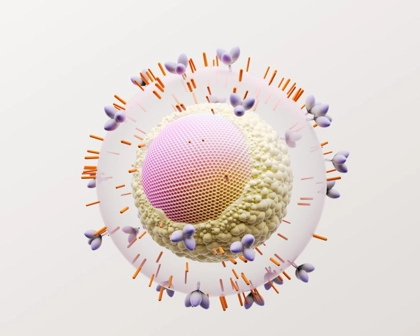 HIV Octane Cell