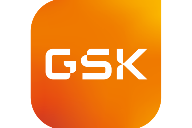 GSK Full Colour Icon